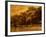 Central Park, no. 2-Katherine Sanderson-Framed Photographic Print