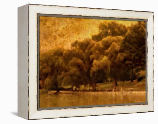 Central Park, no. 2-Katherine Sanderson-Framed Premier Image Canvas