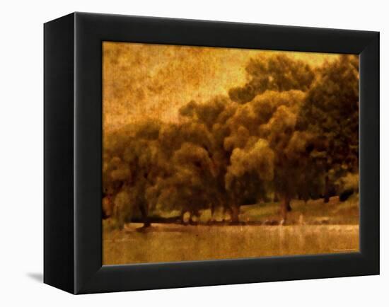 Central Park, no. 2-Katherine Sanderson-Framed Premier Image Canvas