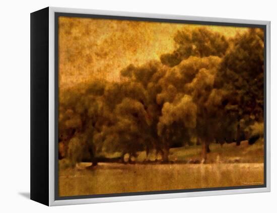 Central Park, no. 2-Katherine Sanderson-Framed Premier Image Canvas