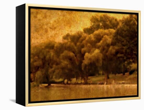 Central Park, no. 2-Katherine Sanderson-Framed Premier Image Canvas