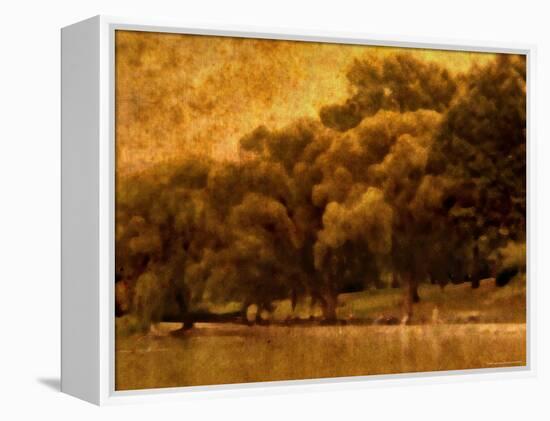 Central Park, no. 2-Katherine Sanderson-Framed Premier Image Canvas