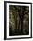 Central Park, no. 3-Katherine Sanderson-Framed Photographic Print