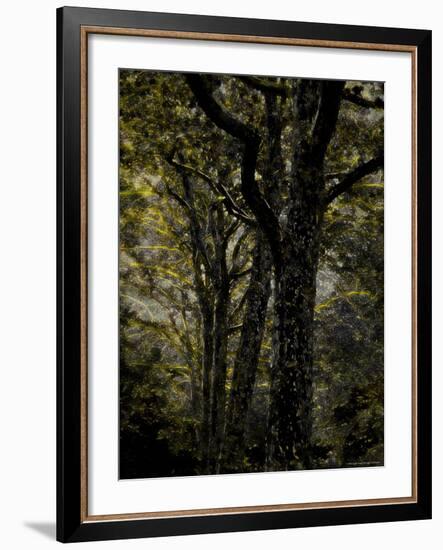 Central Park, no. 3-Katherine Sanderson-Framed Photographic Print