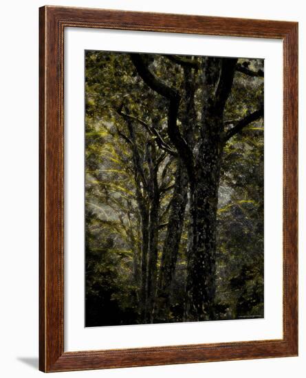 Central Park, no. 3-Katherine Sanderson-Framed Photographic Print