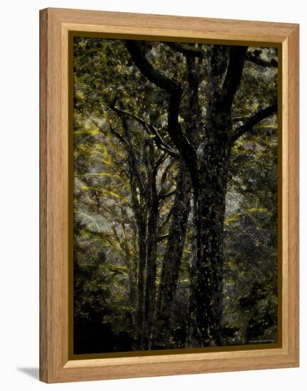 Central Park, no. 3-Katherine Sanderson-Framed Premier Image Canvas