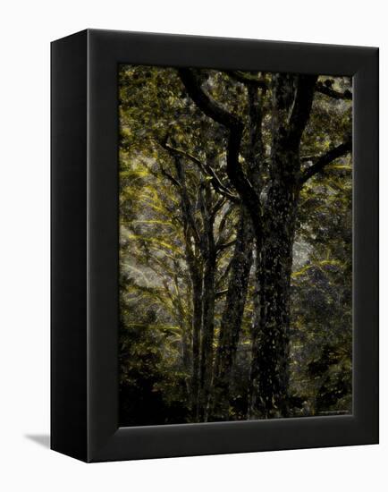 Central Park, no. 3-Katherine Sanderson-Framed Premier Image Canvas