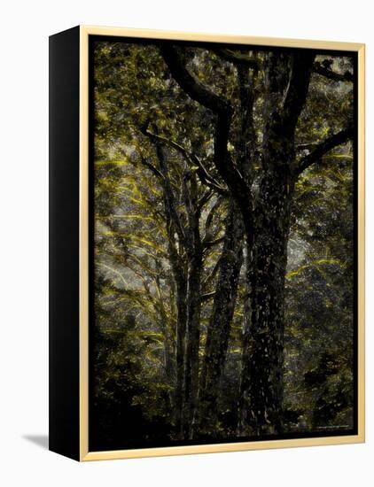 Central Park, no. 3-Katherine Sanderson-Framed Premier Image Canvas