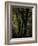 Central Park, no. 3-Katherine Sanderson-Framed Photographic Print