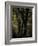 Central Park, no. 3-Katherine Sanderson-Framed Photographic Print