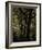 Central Park, no. 3-Katherine Sanderson-Framed Photographic Print