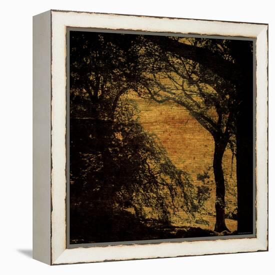 Central Park, no. 4-Katherine Sanderson-Framed Premier Image Canvas