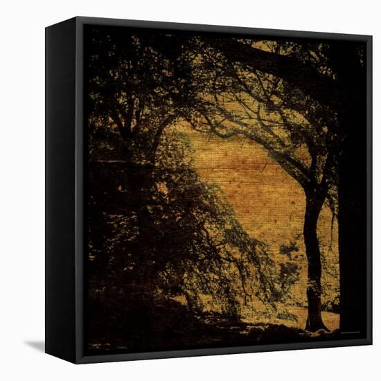Central Park, no. 4-Katherine Sanderson-Framed Premier Image Canvas