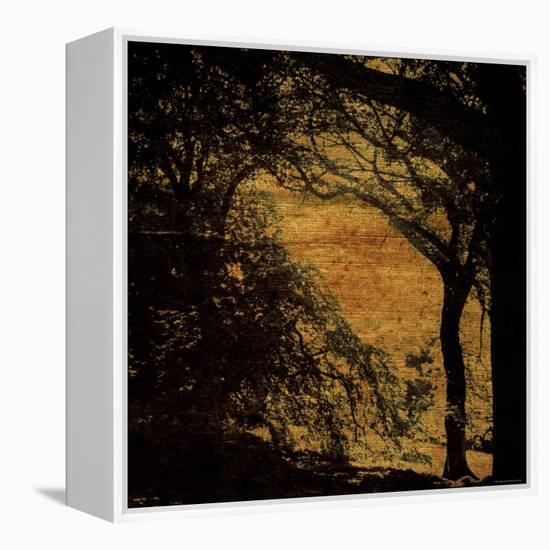 Central Park, no. 4-Katherine Sanderson-Framed Premier Image Canvas