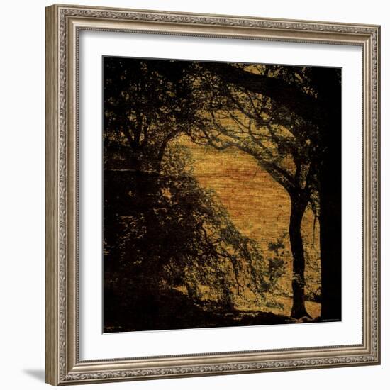 Central Park, no. 4-Katherine Sanderson-Framed Photographic Print