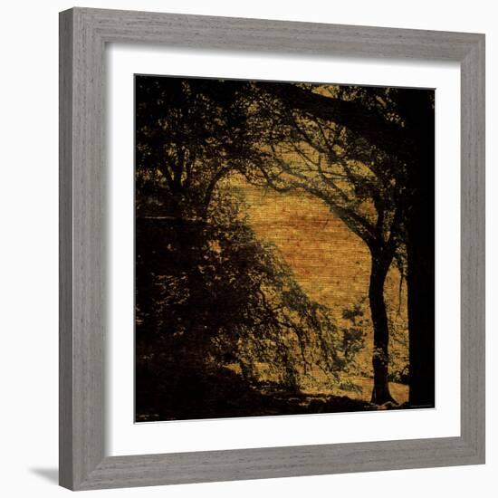 Central Park, no. 4-Katherine Sanderson-Framed Photographic Print