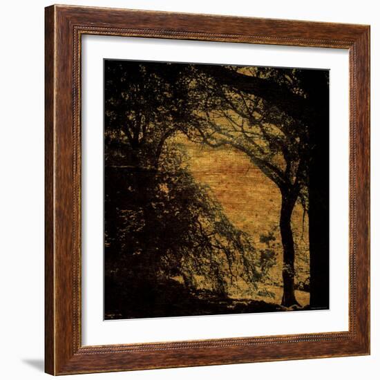 Central Park, no. 4-Katherine Sanderson-Framed Photographic Print