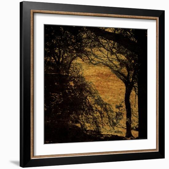 Central Park, no. 4-Katherine Sanderson-Framed Photographic Print