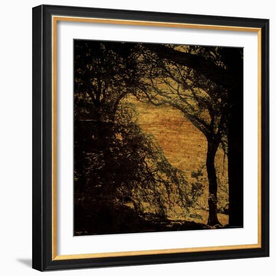 Central Park, no. 4-Katherine Sanderson-Framed Photographic Print