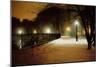 Central Park Nocturne in Snow, 2007-Max Ferguson-Mounted Giclee Print