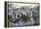 Central Park, Nyc, 1862-Currier & Ives-Framed Premier Image Canvas