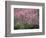 Central Park, NYC-Lauree Feldman-Framed Photographic Print