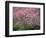 Central Park, NYC-Lauree Feldman-Framed Photographic Print