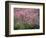 Central Park, NYC-Lauree Feldman-Framed Photographic Print