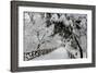 Central Park Path Deep Snow-Robert Goldwitz-Framed Photographic Print