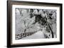 Central Park Path Deep Snow-Robert Goldwitz-Framed Photographic Print