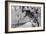 Central Park Path Deep Snow-Robert Goldwitz-Framed Photographic Print