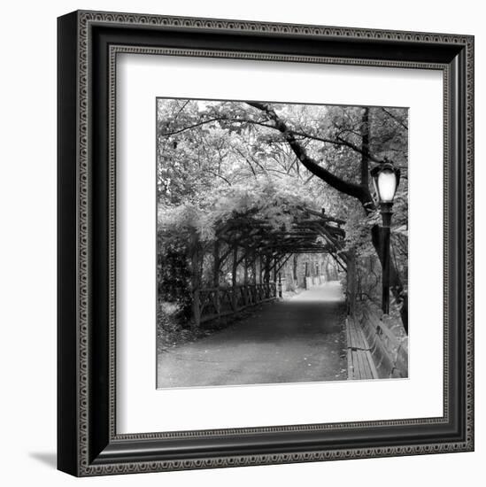 Central Park Pergola-Erin Clark-Framed Art Print