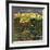 "Central Park Rainbow," April 30, 1949-John Falter-Framed Giclee Print