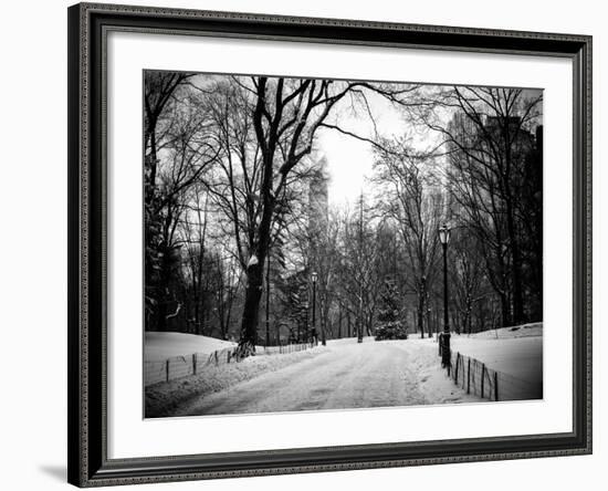 Central Park Snow-Philippe Hugonnard-Framed Photographic Print