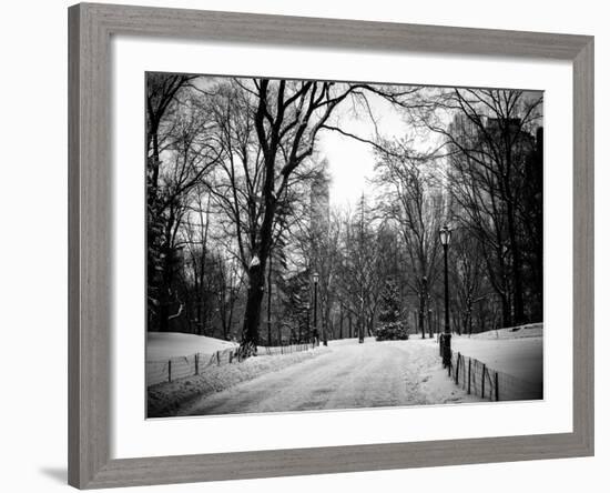 Central Park Snow-Philippe Hugonnard-Framed Photographic Print