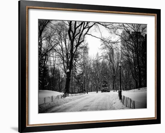 Central Park Snow-Philippe Hugonnard-Framed Photographic Print