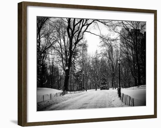 Central Park Snow-Philippe Hugonnard-Framed Photographic Print