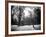 Central Park Snow-Philippe Hugonnard-Framed Photographic Print