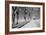 Central Park Snow-Bill Carson Photography-Framed Photographic Print