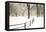 Central Park Snow-Andrew Geiger-Framed Stretched Canvas