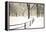 Central Park Snow-Andrew Geiger-Framed Stretched Canvas