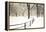 Central Park Snow-Andrew Geiger-Framed Stretched Canvas