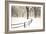 Central Park Snow-Andrew Geiger-Framed Art Print