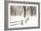 Central Park Snow-Andrew Geiger-Framed Art Print