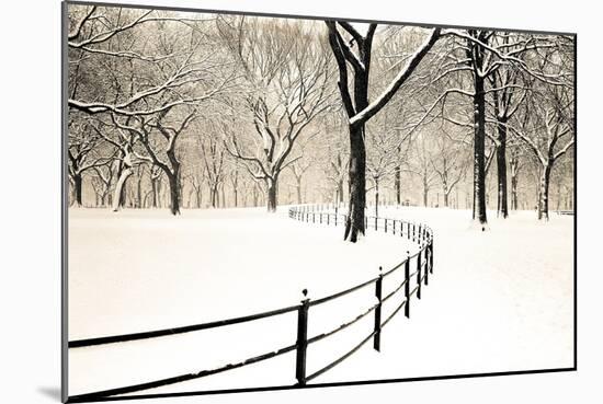 Central Park Snow-Andrew Geiger-Mounted Art Print