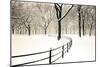 Central Park Snow-Andrew Geiger-Mounted Art Print