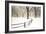 Central Park Snow-Andrew Geiger-Framed Art Print