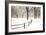 Central Park Snow-Andrew Geiger-Framed Premium Giclee Print