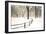 Central Park Snow-Andrew Geiger-Framed Premium Giclee Print