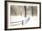 Central Park Snow-Andrew Geiger-Framed Premium Giclee Print
